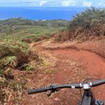 George Budd - @george_budd_mtb - Instagram