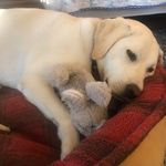 George C Budd - @georgecbudd - Instagram