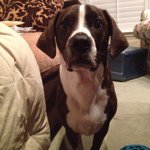 Buddy George - @buddy_george - Instagram