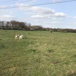 George&Buddy_Pics - @georgebuddy_pics - Instagram