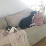 Isaac - @george.buddy.tussin - Instagram