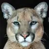 georgebugg351 - @georgebugg351 - TikTok