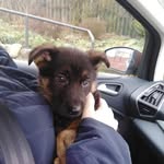 George Bunch - @bunch4898 - Instagram