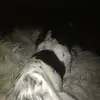 George Bundy - @george.bundy1 - TikTok