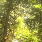 George Sherman-bundy - @spark_646 - Instagram