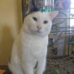 George Buono - @georgebuono741 - Instagram