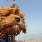 George Byron - @cava_king_george - Instagram