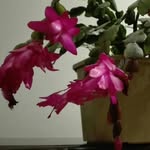 George Byron - @george.byron.142 - Instagram