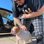 George Caddell - @hcbbigbuff - Instagram