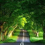 @georgecadogan76 - Instagram