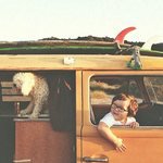 George Calkins - @9537georgehyena - Instagram