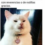 George Cano - @georgecano22 - Instagram