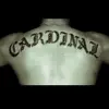 GorgeousGeorge - @gorgeousgeorgecardinal - TikTok