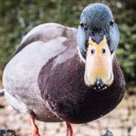 George Carman - @george.carman - Instagram