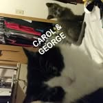 George Carol - @george.and.carol - Instagram