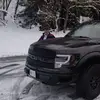 George Cassar - @george.cassar8 - TikTok