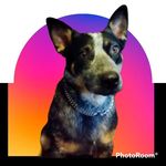 George Cassell - @george.cassell1 - Instagram