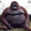 george.castle_ - @george.castle_ - TikTok