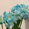 George Caudill - @george.caudill8 - TikTok