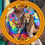 George Cavanaugh - @stormieee_beagle - Instagram