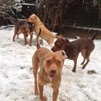 George Chadwick - Facebook