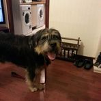 George Chalmers - Facebook