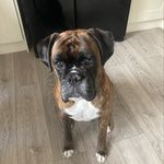 George Chaplin - @george.chaplin44 - Instagram