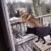 George Chase - @george.chase3 - TikTok