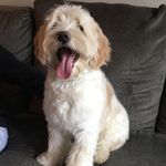George Chase Markowski - @georgechasemarkowski - Instagram