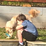 Chester - @george_chester7163 - Instagram