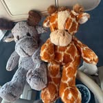 Chester & Georege - @george.chester.adventures - Instagram
