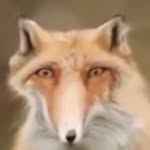 George Chester - @definitely.not.anikimations - Instagram