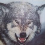 John-George Chubb - @johngeorgechubb - Instagram
