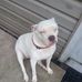 George Clare - Facebook