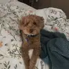georgecleary626 - @georgecleary626 - TikTok