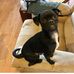 George Cloninger - Facebook