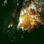 George Cloud - @george_cloud9 - Instagram