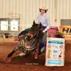george | the cowboy coffee gal - @georgia.scales.1 - TikTok