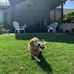 George Conover - Facebook