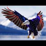 George Conover Jr. - @conoverjr.george - Instagram