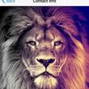 George Coombs  - @c0077a - TikTok