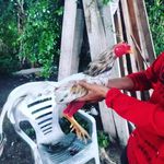 George Borge corrales - @georgeborgecorrales - Instagram
