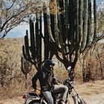 George Corrales Rúbel - @wollenism - Instagram