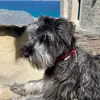 George Kostakis - @georgekostak - TikTok