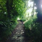 George Creed - @g__creed - Instagram