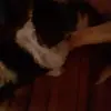 George Creed - @georgecreed7 - TikTok