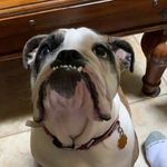George Crespo - @crespo1931 - Instagram