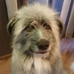 The George Crew - @thegeorgecrew - Instagram