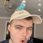 George Crispin - @george_crispin20 - Instagram