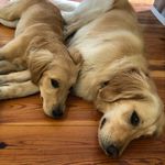 George Croft - @grcroft - Instagram